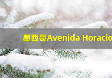 墨西哥Avenida Horacio